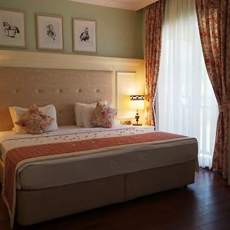 מלון Padok Premium & Stables 4*
