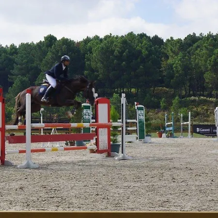 Padok Premium & Stables מלון