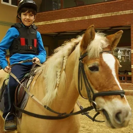 מלון Padok Premium & Stables 4*