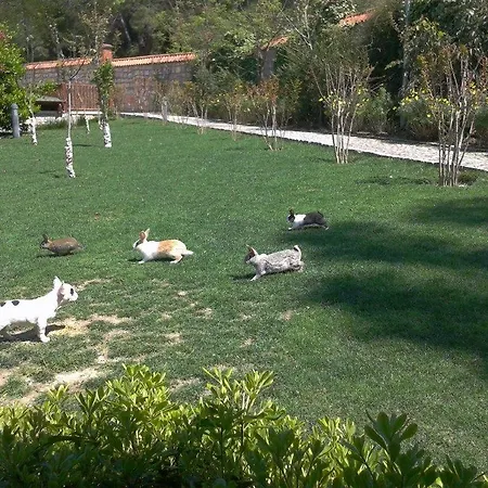 Padok Premium & Stables מלון Gökova