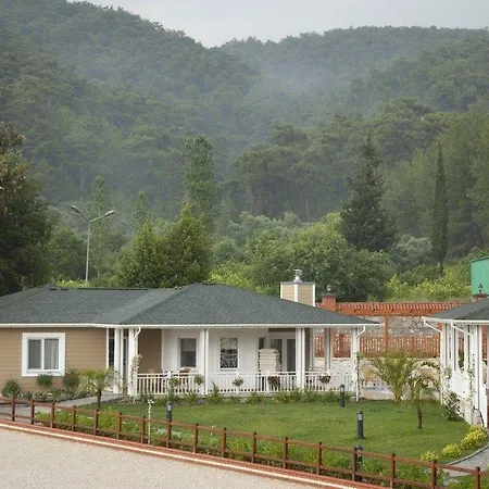 파독 프리미엄 앤드 스테이블스 호텔