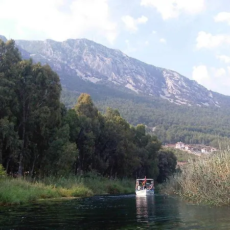 Padok Premium & Stables Hotel Gokova