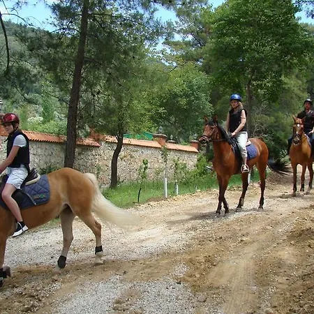 Padok Premium & Stables מלון 4*