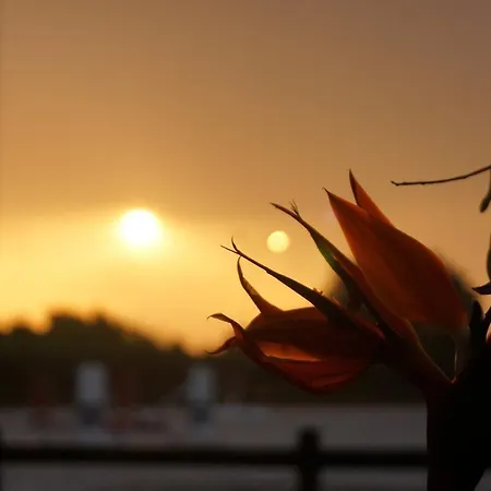 Padok Premium & Stables Hotel