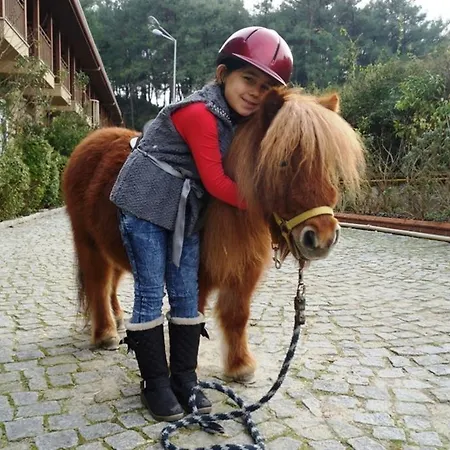 Padok Premium & Stables מלון 4*