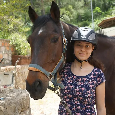 מלון Padok Premium & Stables 4*