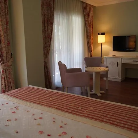 Padok Premium & Stables Gokova