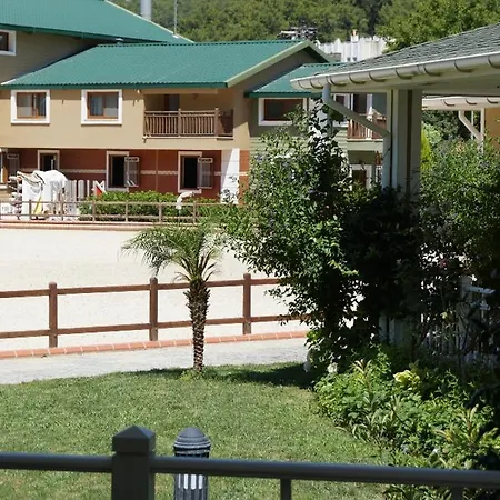 מלון Padok Premium & Stables 4*