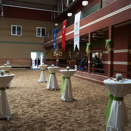מלון Padok Premium & Stables 4*