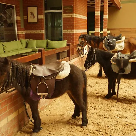 מלון Padok Premium & Stables 4*
