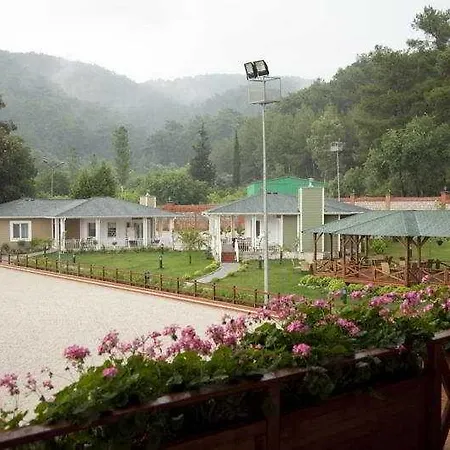 Padok Premium & Stables Hotel Gokova