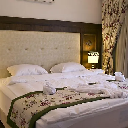 Padok Premium & Stables מלון 4*
