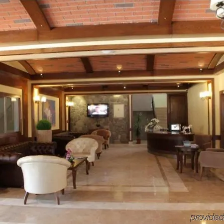 Padok Premium & Stables מלון