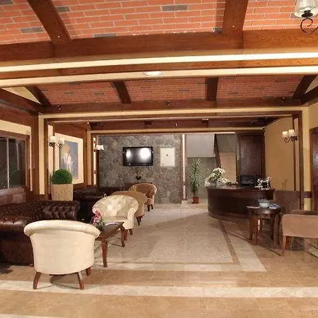 파독 프리미엄 앤드 스테이블스