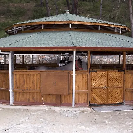 Padok Premium & Stables Gökova