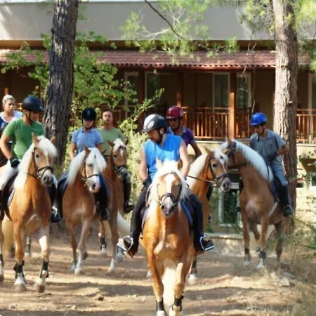 Szálloda Padok Premium & Stables 4*