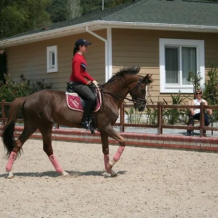Padok Premium & Stables Szálloda Gökova