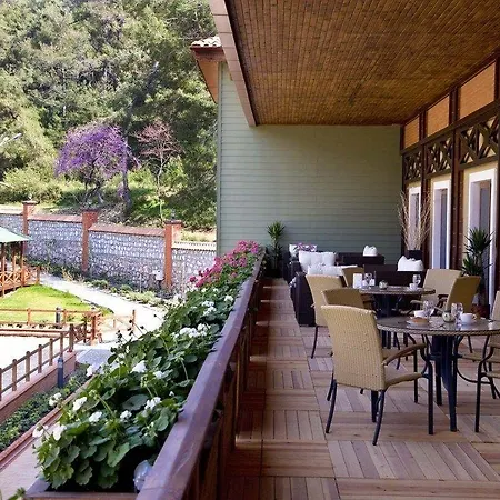 Padok Premium & Stables Szálloda