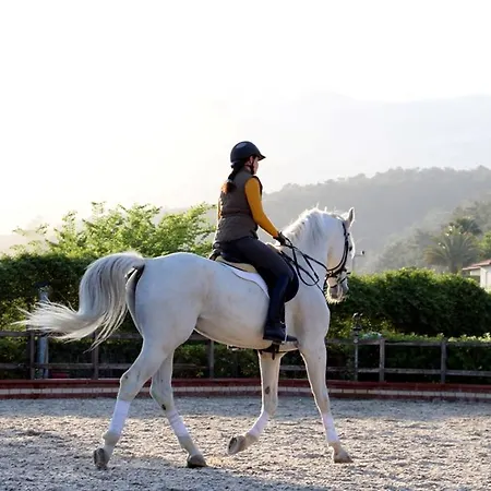 Padok Premium & Stables 4*