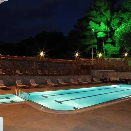 Padok Premium & Stables 4*
