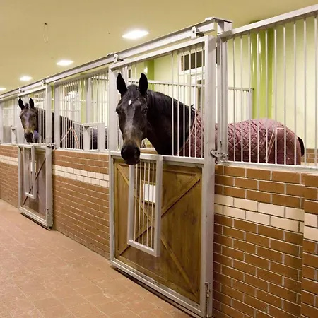 Padok Premium & Stables 4*