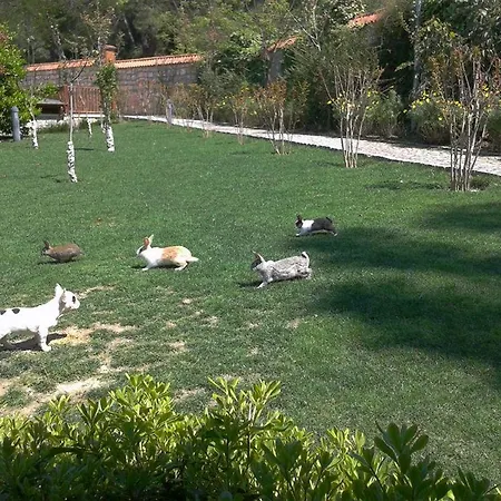 Padok Premium & Stables Hotel Gökova