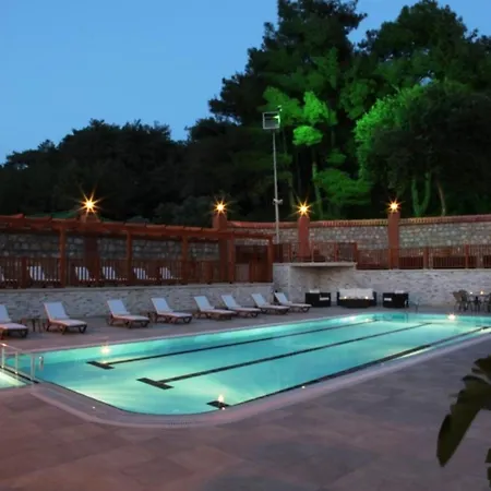 Padok Premium & Stables Szálloda