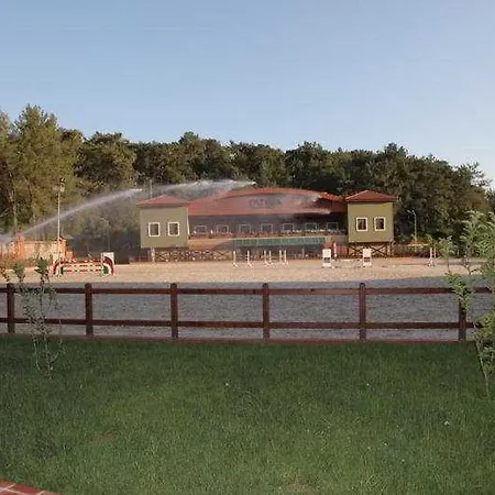 Padok Premium & Stables Szálloda