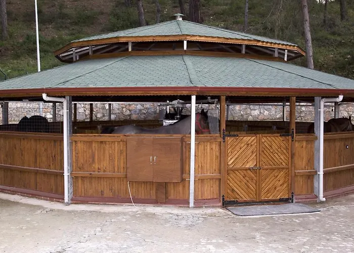 Padok Premium & Stables Gökova