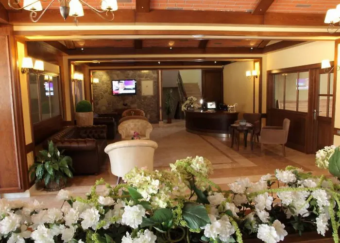 מלון Padok Premium & Stables