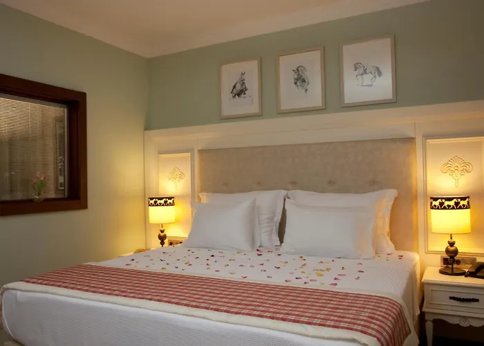 Padok Premium & Stables 4*