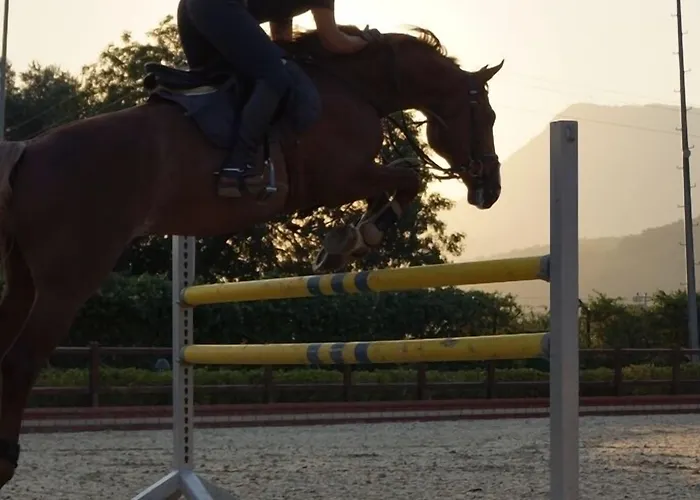 Padok Premium & Stables 4*