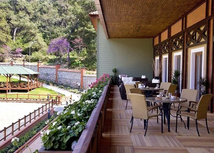 Padok Premium & Stables מלון