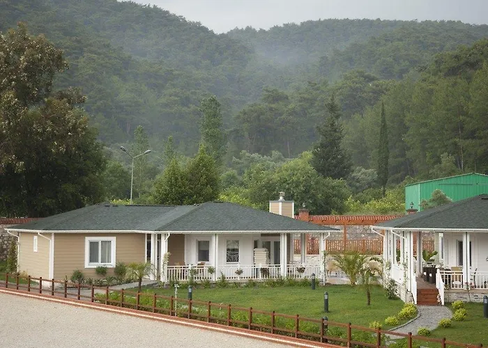 Padok Premium & Stables מלון