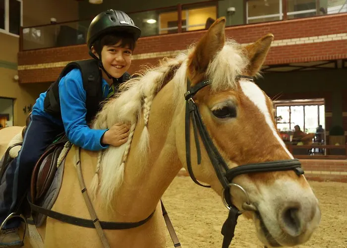 Padok Premium & Stables מלון 4*