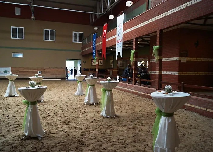 מלון Padok Premium & Stables 4*