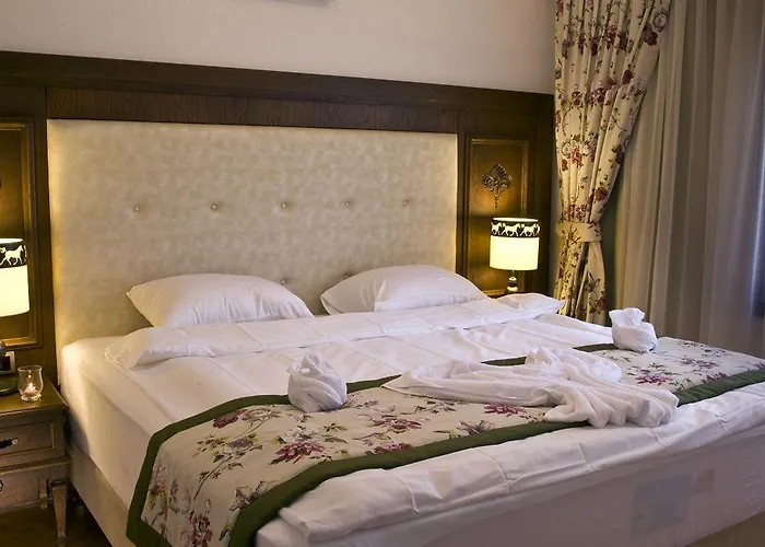 Padok Premium & Stables מלון 4*