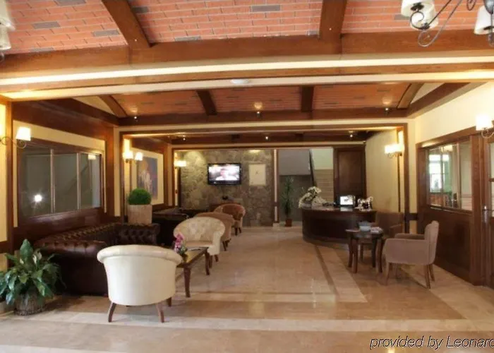 Padok Premium & Stables מלון