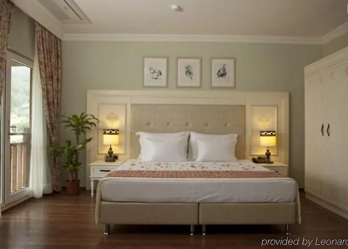 Padok Premium & Stables 4*