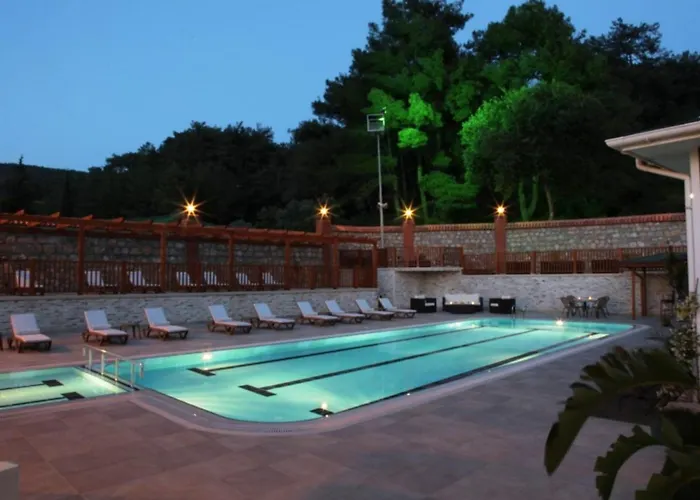 Padok Premium & Stables מלון